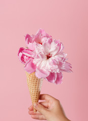 peony in the waffle cone