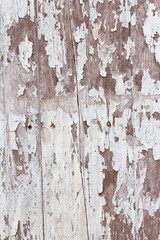 White wooden texture as a background,Cracked painted wooden board texture
