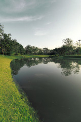 The landscapse nature and sunset in park