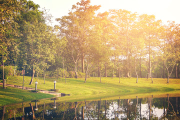 The landscapse nature and sunset in park