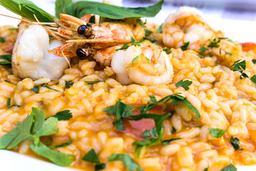 Tasty risotto with Shrimp, fresh herbs vegetables on a white plate