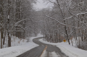 Winding Road In Park Winter Scene with Trees and Snow