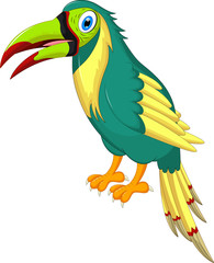 Vector illustration of Cartoon macaw presenting isolated on white background