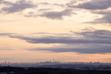 遠望 朝焼けの東京スカイツリー