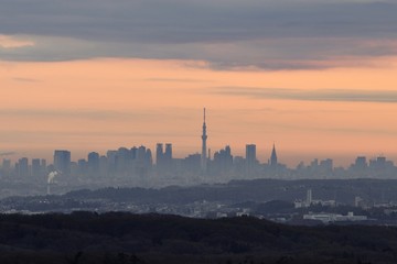 遠望 朝焼けの東京スカイツリー