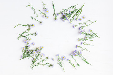 Flowers composition. Frame with daisy flowers on white background. Flat lay, top view
