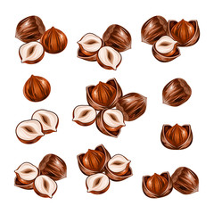 Hazelnuts