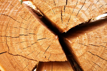 old wood crack