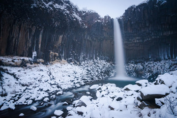 Svartifoss waterfall in winter at Skaftafell, Iceland