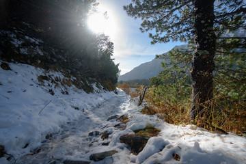 View in High Tatras National Park, Slovakia