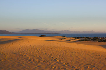 Fototapeta na wymiar Slope hill sand on yellow dunes on blue sky background. Sustainable ecosystem. Spain, Canary islands, Fuerteventura