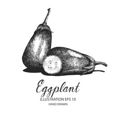Eggplant hand drawn illustration by ink and pen sketch. Isolated vector design for fruit and vegetable products and health care goods.