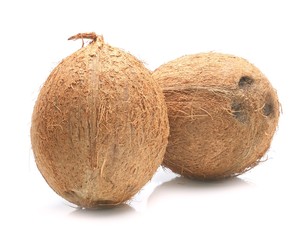 Coconut on a white background