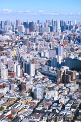 Fototapeta premium 東京の風景