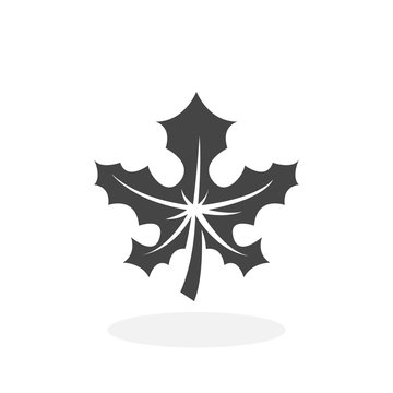 Maple leaf Icon. Vector logo on white background