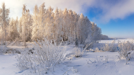 Obraz premium зимний пейзаж на берегу реки с туманом и с деревьями в инее, Россия, Урал, февраль