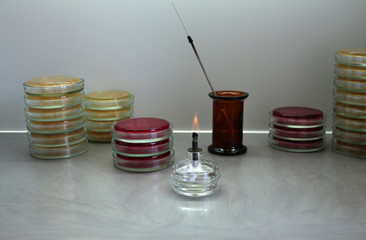 Microbiological workplace in biosafety box overview.  Close up. 