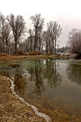 Naturlandschaft an der Isar