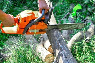 Obraz premium Chainsaw cut wooden logs