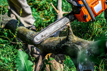 Chainsaw cut wooden logs