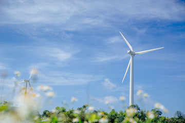 Turbine with Beautiful View