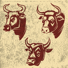 Bull heads emblems  on grunge background. Design element for logo, label, sign, brand mark. Vector illustration.