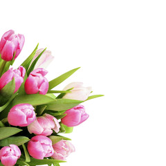 Fototapeta premium Pink tulip flowers bouquet in a corner