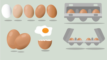 Different eggs big set