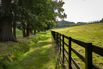 Nature Landscape in United Kingdom