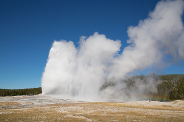 Geyser