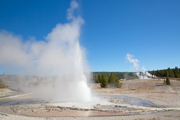 Geyser