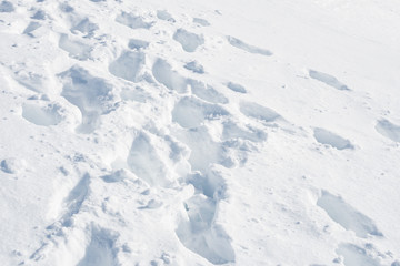 Fototapeta na wymiar Schnee