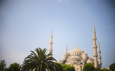 Fototapeta premium トルコのブルーモスク(Sultanahmet mosque, Turkey)