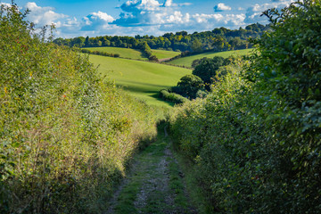 Landscape In United Kingdom