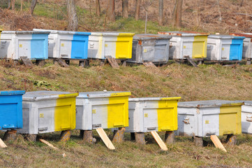 Row of colorful wooden beehives