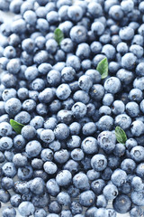 Ripe and tasty blueberries background