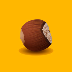 Hazelnut, Ripe Nut Isolated on a Yellow Background, Hard Fruit , Vector Illustration