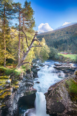 Fototapete bei efototapeten.de bestellen   