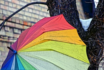Цветной зонтик на древе