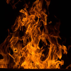 Blaze fire flame background and textured