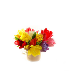 Tulpen, Tulpenstrauss, Ostern, Muttertag, Frühling, isoliert, freigestellt, auf weiss, Textraum, copy space