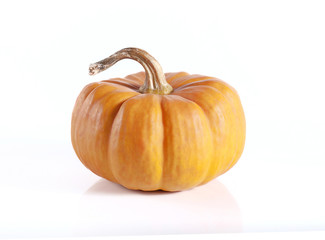 pumpkins close up isolated on white..