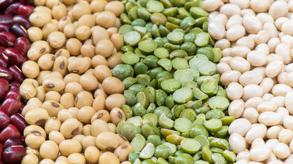 Prepared multicolor dired legumes for cooking