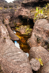 Roraima Tepui Summit, Gran Sabana, Venezuela