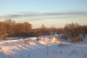 лесной путь 