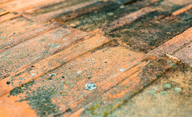 Old dirty orange roof tiles