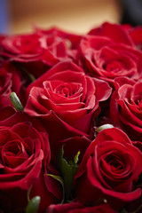 Rose bouquet 