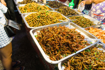 Fried bamboo caterpillar pile worms in market