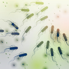 Group of E. coli Bacteria - Vector Illustration.