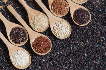 Top view different rice on wooden scoop with black riceberry background, Various rice organic on wooden spoon collection